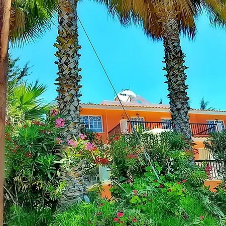 Mediterranean Style